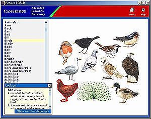 Cambridge Advanced Learner's Dictionary(2003 first edition):Pictures window